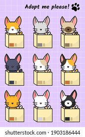 Cortar gato en un conjunto de cajas, 
¡adopta este gato!