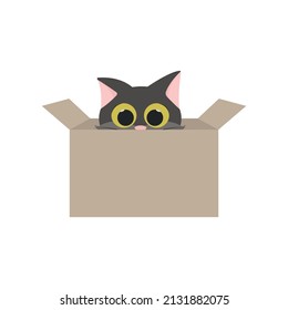 Cute cat in a box. Vector animal. Pet character