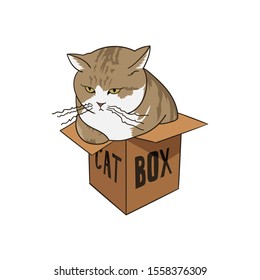 Cute Cat In the box. Vector Illustration. Good for Print