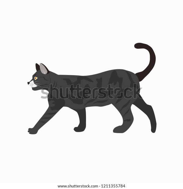 Cute Cat Breed British Shorthair Icon Stock Vector Royalty Free