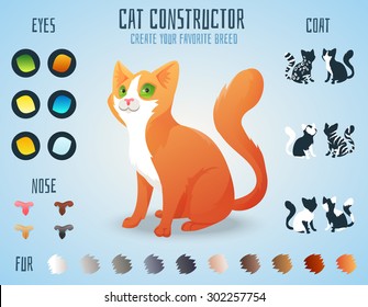Cute cat breed constructor. You can create your own kitten breed. Change color, eyes, noses, types of coat. Vector illustration