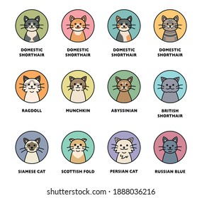 Cute cat breed icon set. The cute cat face is in the circle. flat design style minimal vector illustration.