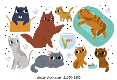 Cute cat breeds. Different funny pets characters. Cartoon kitties playing with box and aquarium. Various wool colors. Kittens sleeping or feeding. Mammals poses. Vector