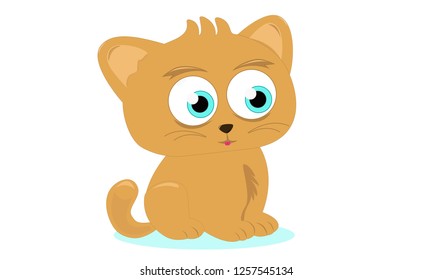 cute, cat, brown