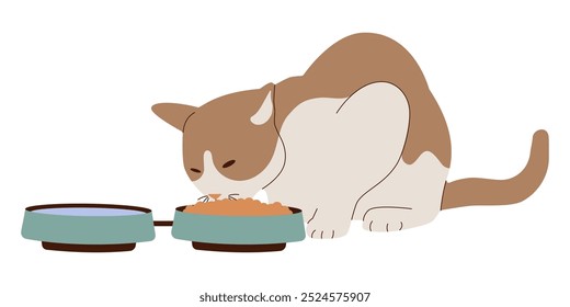 A cute cat with brown spots eats from food and drink bowls. Flat style. Vector illustration.