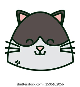 cute cat brown and white head vector illustration