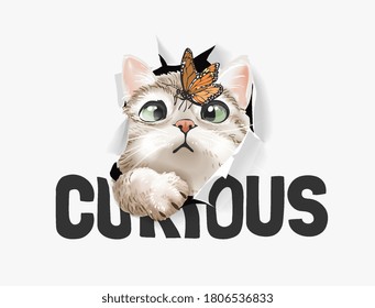 cute cat and butterfly in curious paper hole illustration