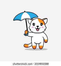 Cute cat carrying an umbrella