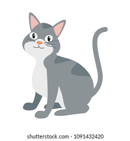 Cute cat cartoon