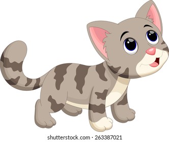 Cute cat cartoon