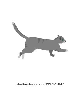 Cute cat cartoon character walking vector illustration. Pet on walk or in chase isolated on white background. Animals concept for game design