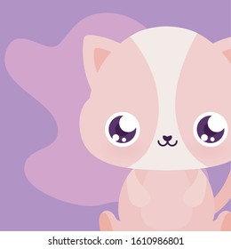 Cute cat cartoon design, Animal zoo life nature character childhood and adorable theme Vector illustration
