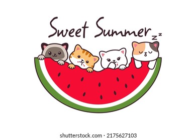 Cute Cat Cartoon Drawing with Fruit Watermelon Summer Banner Background