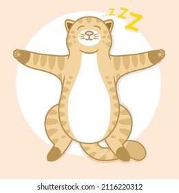 cute cat cartoon illustration sleeping on his back