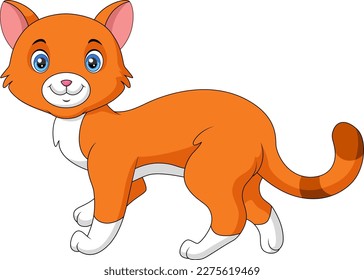 Cute cat cartoon on white background