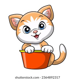 Cute cat cartoon on white background