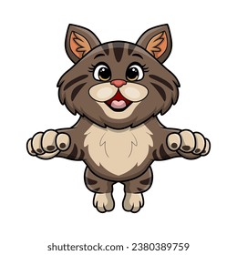 Cute cat cartoon on white background