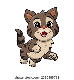 Cute cat cartoon on white background