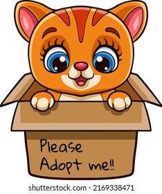 Cute Cat Cartoon In Present Gift Box With Text Adopt Me Please