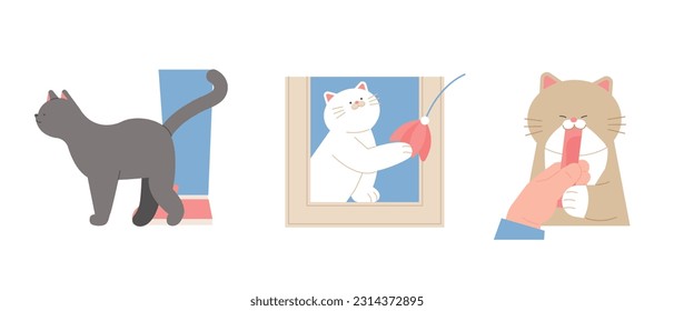 Cute cat. Cats rubbing against people's legs, acting cute, playing with fishing rods, and eating snacks.