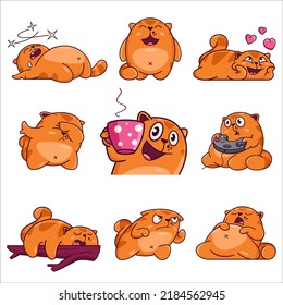 Cute Cat Character with different emotions