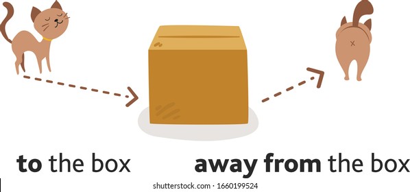 Cute cat character in different poses with box. Prepositions of place English. Studying of foreign language concept. Vector illustration