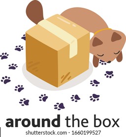 Cute cat character in different poses with box. Prepositions of place English. Studying of foreign language concept. Vector illustration