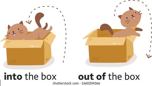 Cute cat character in different poses with box. Prepositions of place English. Studying of foreign language concept. Vector illustration