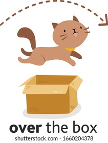 Cute cat character in different poses with box. Prepositions of place English. Studying of foreign language concept. Vector illustration