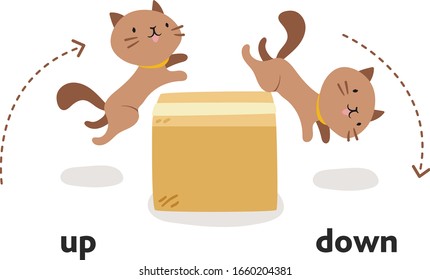 Cute cat character in different poses with box. Prepositions of place English. Studying of foreign language concept. Vector illustration