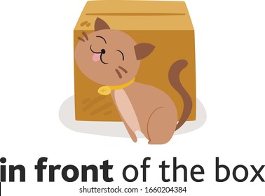 Cute cat character in different poses with box. Prepositions of place English. Studying of foreign language concept. Vector illustration