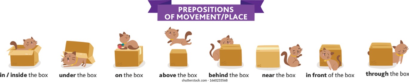 Cute cat character in different poses with box. Prepositions of place English. Studying of foreign language concept. Vector flat cartoon character isolated illustration