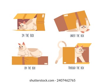 Cute Cat Character In Different Poses With Box. Prepositions Of Place English. Studying Of Foreign Language Concept