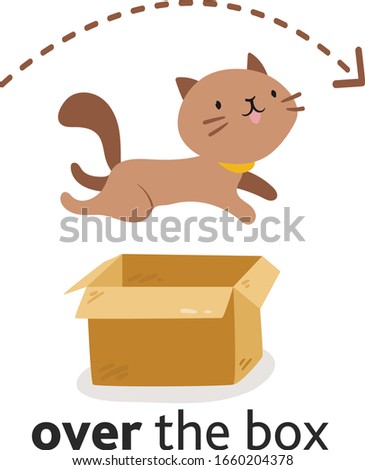 Cute cat character in different poses with box. Prepositions of place English. Studying of foreign language concept. Vector illustration