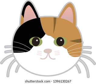 Cute cat character icon. three colored cat