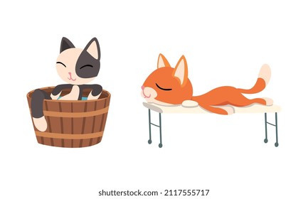 Cute Cat Character Taking Hot Bath in Wooden Plunge Tub and Lying on Massage Bed Vector Set