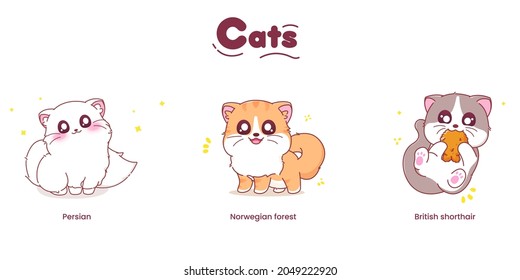 Cute cat characters with different breeds. Vector illustration