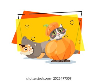 Personajes lindos del gato en la Ilustración vectorial de disfraces de Halloween. Gatitos con disfraces de carnaval de calabaza y tiburón. Halloween, mascota, concepto de fiesta. Puede ser utilizado para el diseño del Anuncio, del cartel o de la invitación