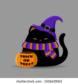 Cute cat characters isolated on grey background. Happy kitten in Halloween purple witch hat, scarf with pumpkin basket. Trick or treat. 