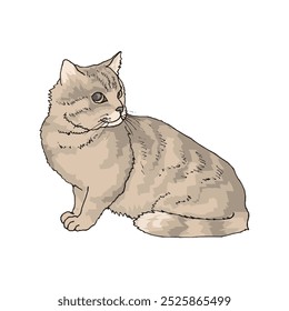 Cute cat characters playing happily