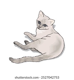 cute cat characters playing happily