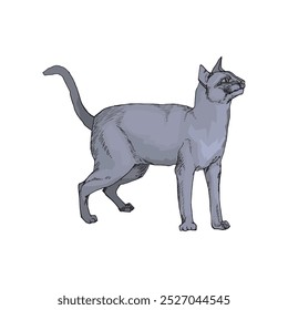 cute cat characters playing happily
