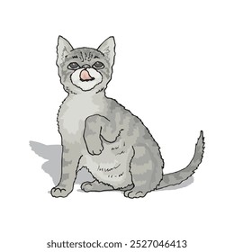 cute cat characters playing happily