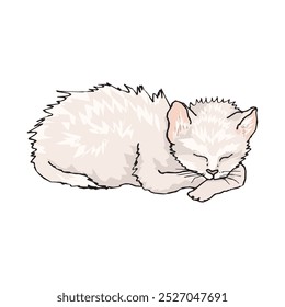 cute cat characters playing happily