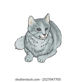 cute cat characters playing happily