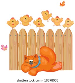 Cute cat and chickens.