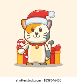 cute cat and christmas gift box