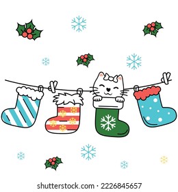 Cute Cat in a Christmas sock