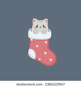 Cute cat in a Christmas sock.