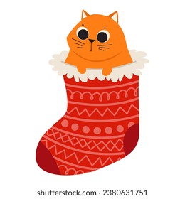 Cute cat in Christmas sock on white background
